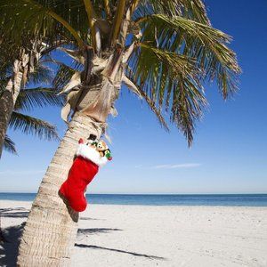 The most wonderful time of the year